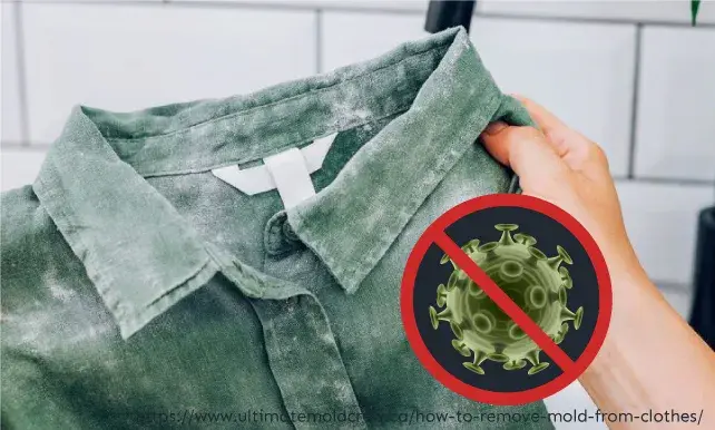 Mildew-resistant