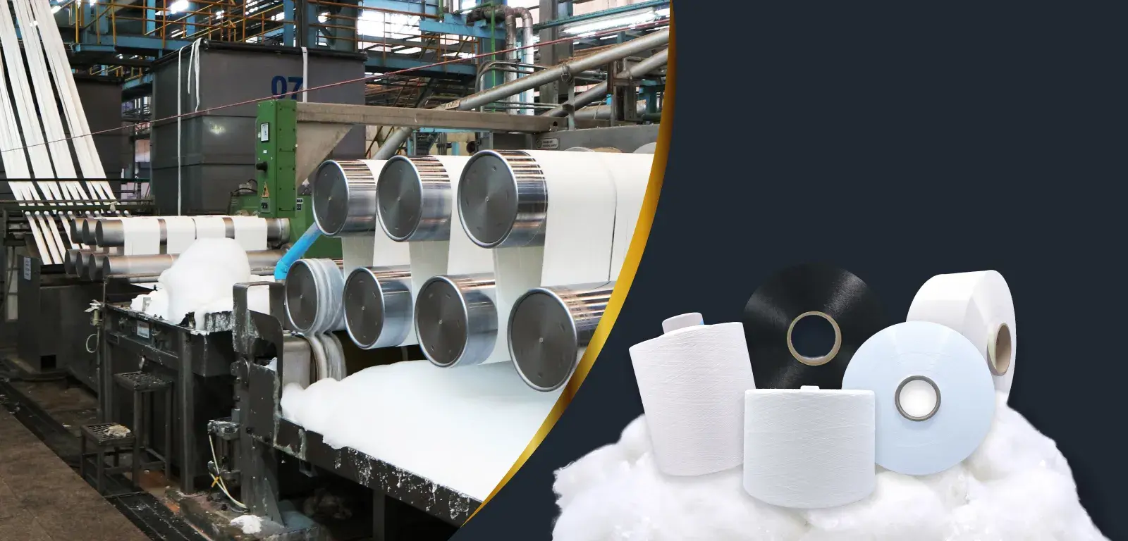 Head Landing page Thaipolyester