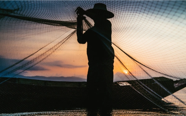 monofilament fishing lines and nets